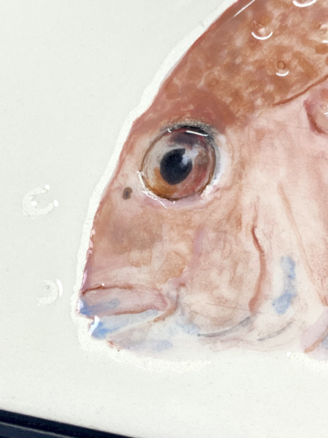 Tegelschilderij roze vis - Afbeelding 5