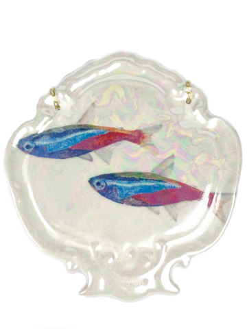 Plaquette tetra guppy's