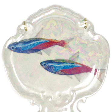 Plaquette tetra guppy's