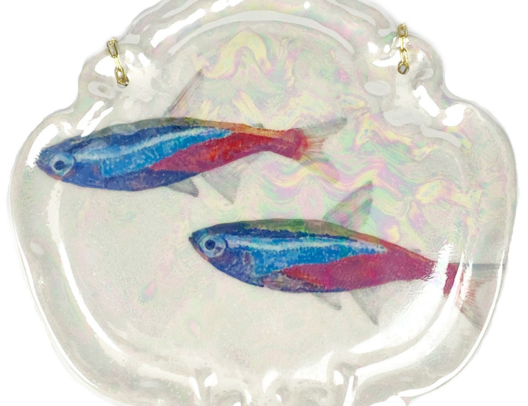 Plaquette tetra guppy's